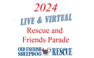 2024 Live & Virtual Parade