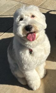 Winnie