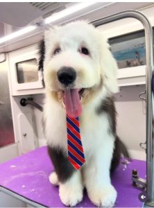 Milo
