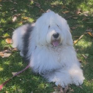 Rupert