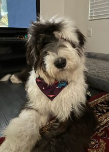 Ralphie
