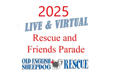 2025 Parade