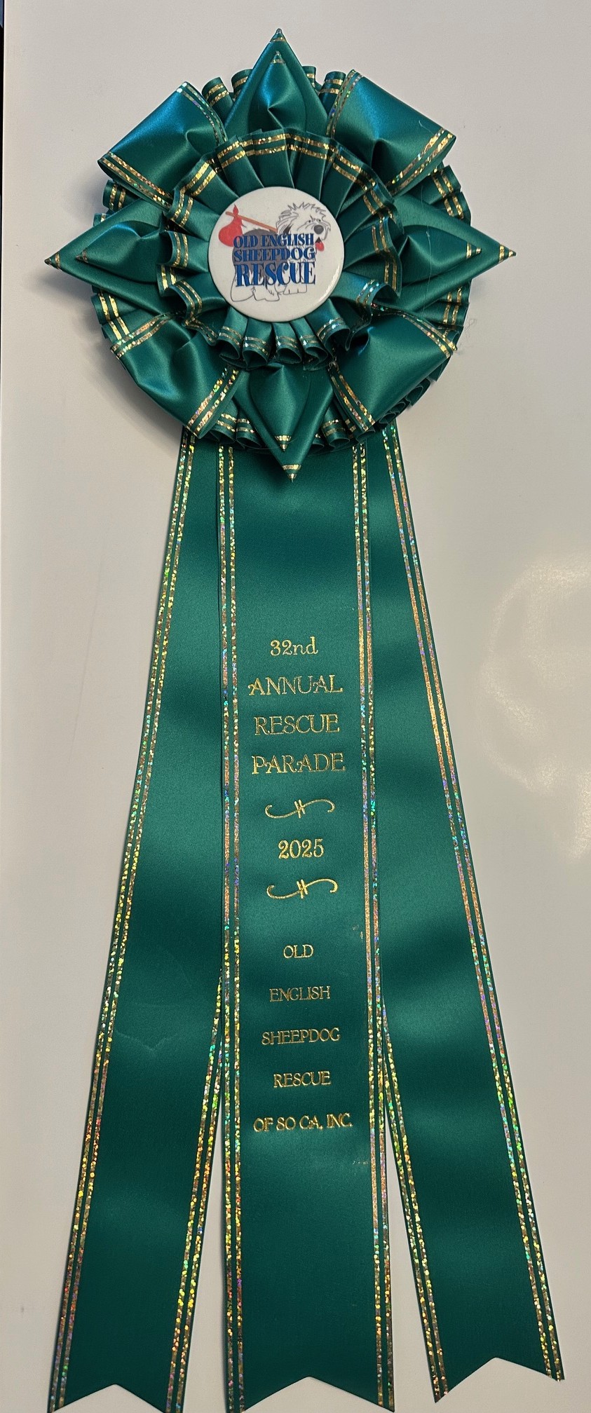 dog winner ribbon