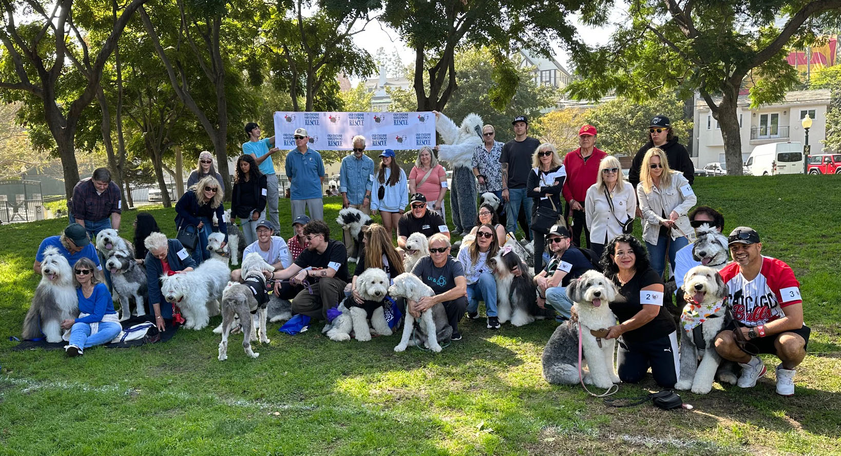 2025 dog parade group photo of Old English sheepdogs and owners in Beverly Hills