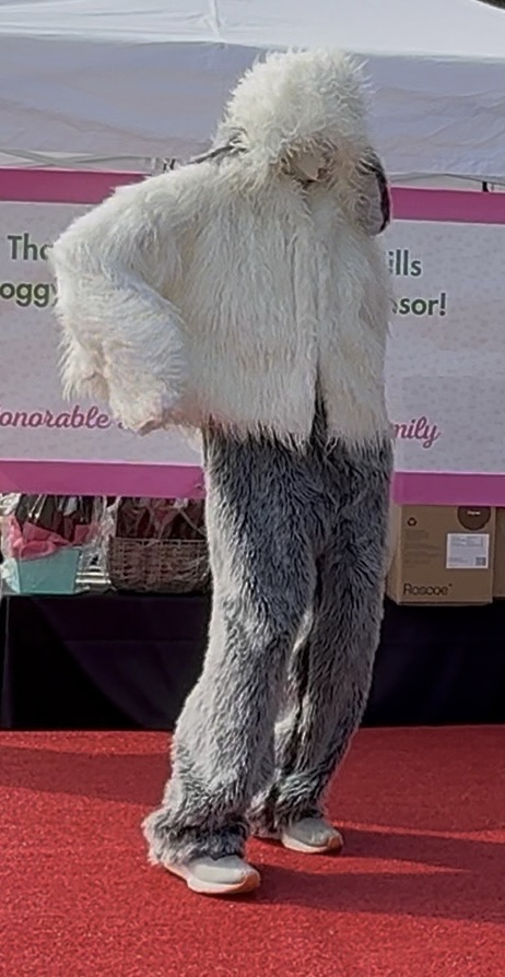 man in a dog suit