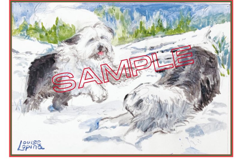 2026 hiliday card for purchase, 2 old english sheepdogs playing in the snow